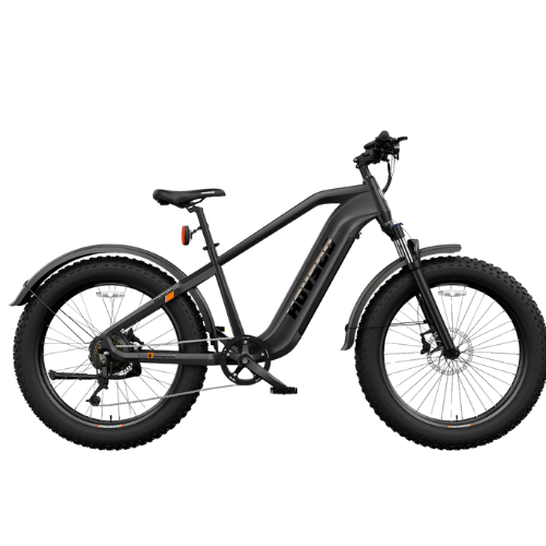 Fat Tire Electric Bike for Adults