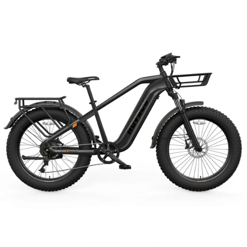 Fat Tire Electric Bike for Adults