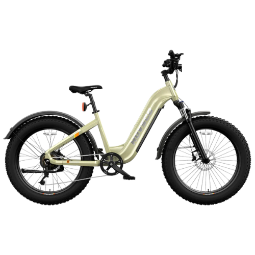Step Thru Fat Tire Electric Bike