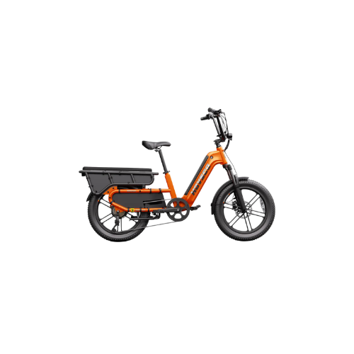 Step-Thru Fat Tire Electric Cargo Bike
