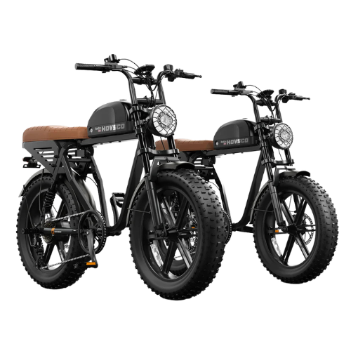 Electric Bike Bundle