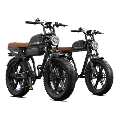 Electric Bike Bundle