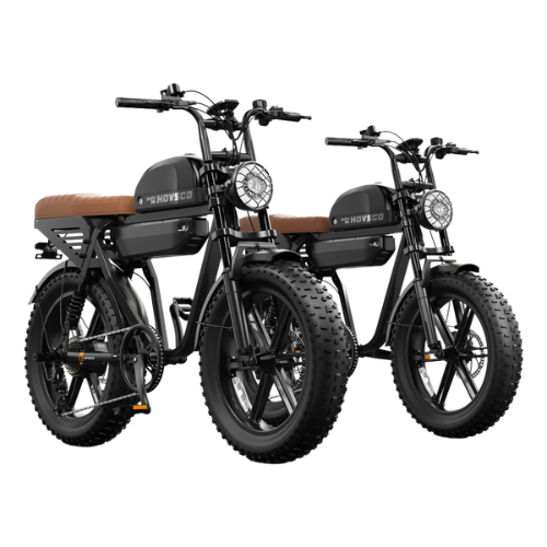 Electric Bike Bundle