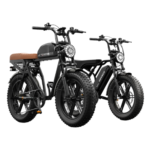 Electric Bike Bundle